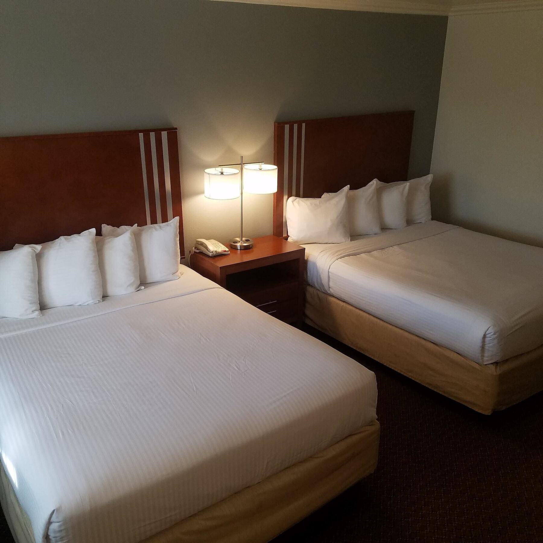 Hotel Surestay By Western